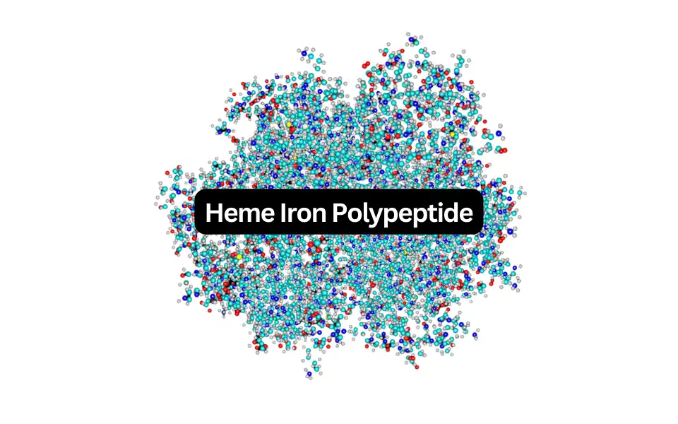 Ultimate Guide to Choosing Heme Iron Polypeptide Powder