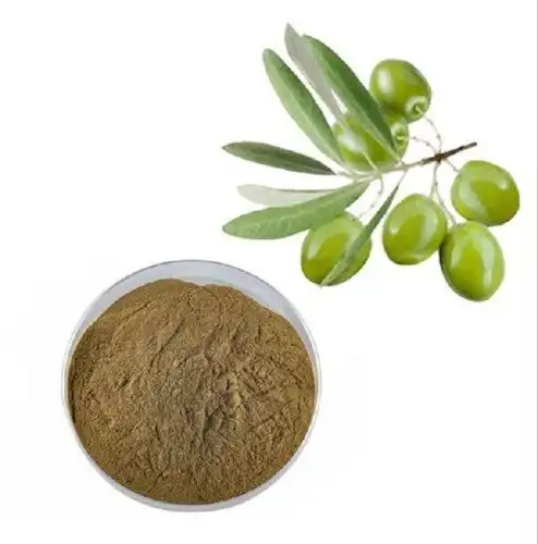 Olive Leaf Extract Powder Suppliers for B2B Success in 2025